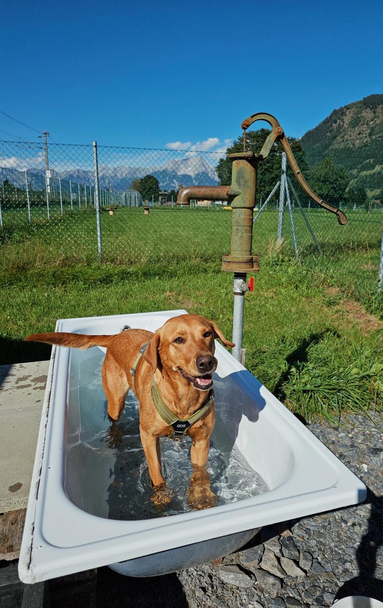 Chaletdorf Zellersee 마이스호펜 외부 사진