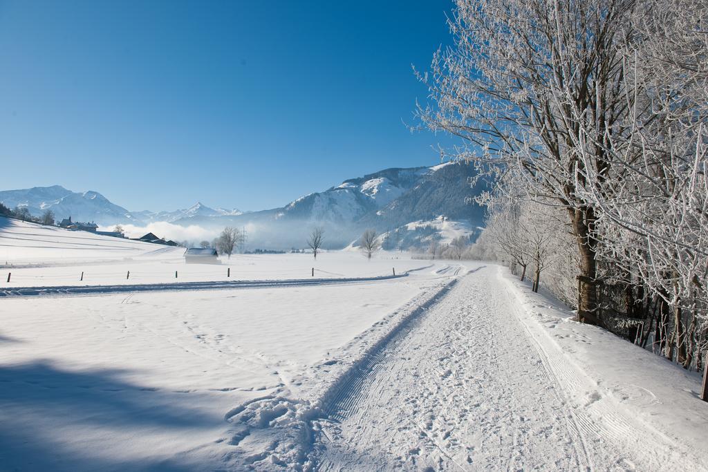 Chaletdorf Zellersee 마이스호펜 외부 사진