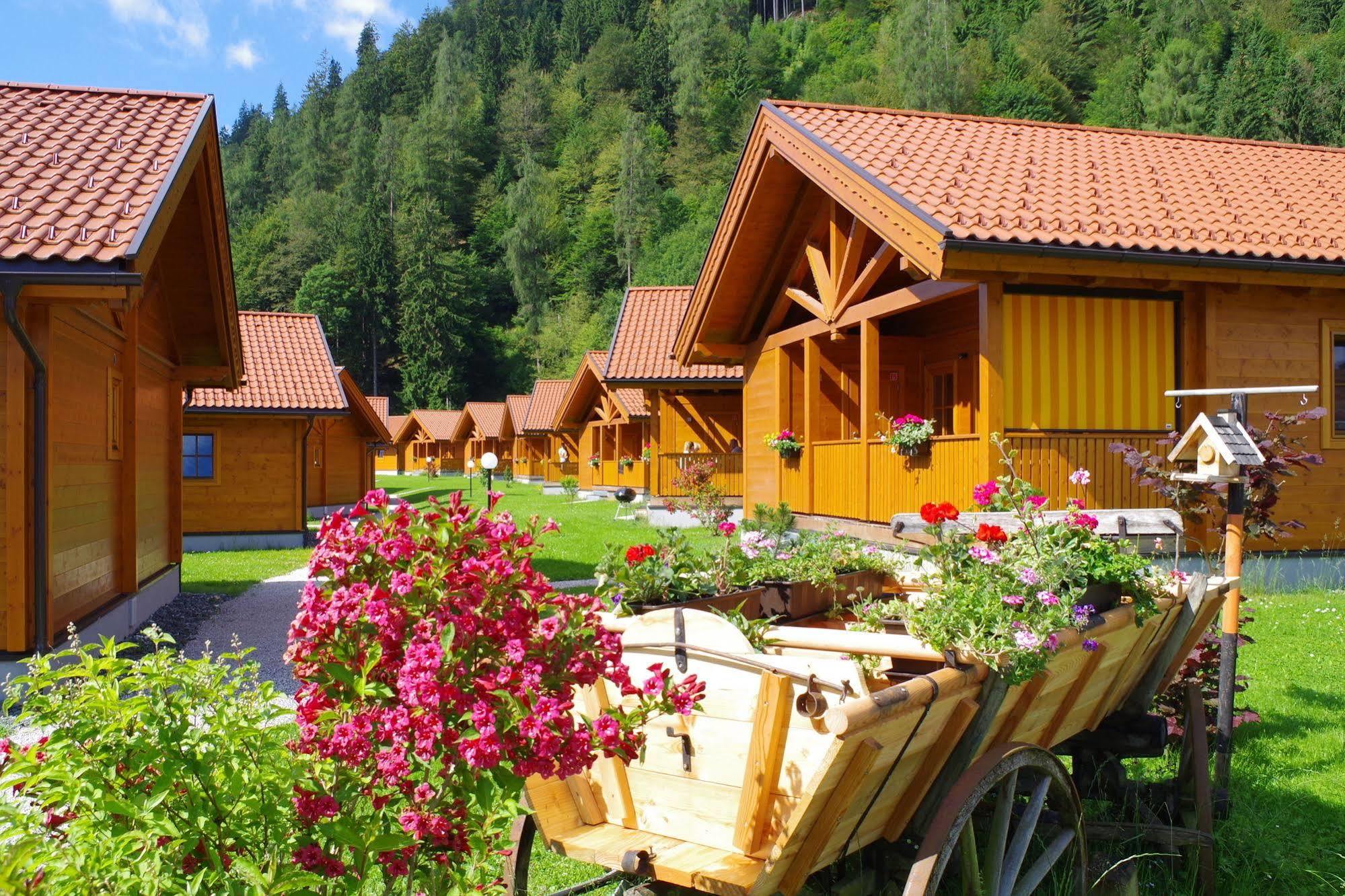 Chaletdorf Zellersee 마이스호펜 외부 사진
